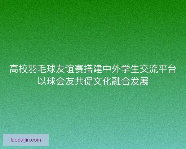 高校羽毛球友谊赛搭建中外学生交流平台以球会友共促文化融合发展